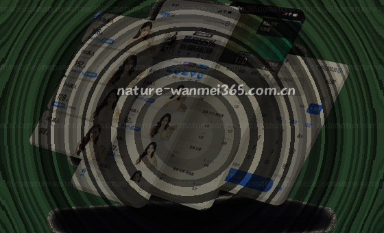 卡片2数据：柱状图显示86%用户选择自动录入。